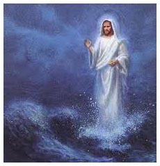 Water Walker
